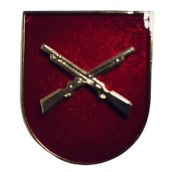 DISTINTIVO TECNICO...