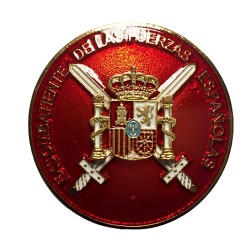 DISTINTIVO EXCOMBATIENTE...