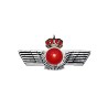 ROKISKI METALICO MINIATURA CUERPO GENERAL