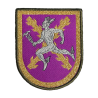 PARCHE BRAZO REPRESENTACION BRIGADA TRANSMISIONES BURGOS