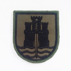 PARCHE BRAZO BRIMZ X...