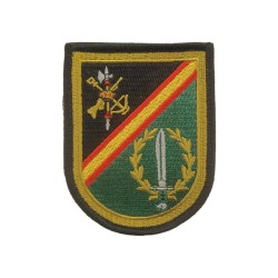 PARCHE LEGION/COE