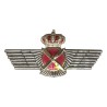 ROKISKI PILOTO