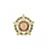 distintivo de profesorado oficial