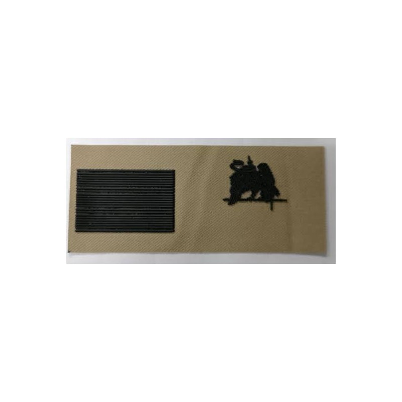 CINTA ARIDA PVC EJERCITO DE TIERRA