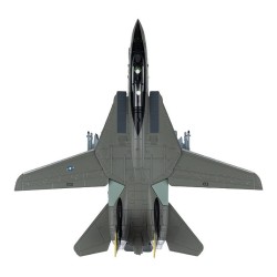Caza F14 Tomcat Usa