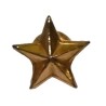 ESTRELLA 5 PUNTAS ESTADO MAYOR