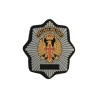 Pecho Policia Militar Color
