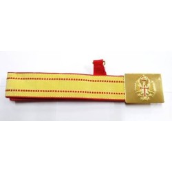 Cinturon Gala Dorado...