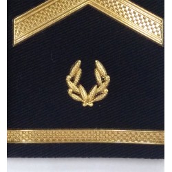 Hombreras Subinspector Policia Nacional