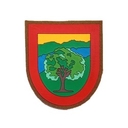 Parche Brazo G. De Campo