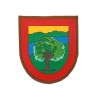 Parche Brazo G. De Campo