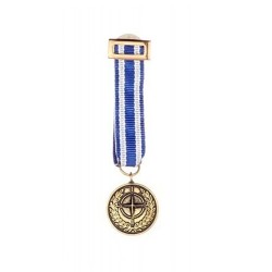 Miniatura Isaf (Afganistan)...
