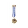 Miniatura Vigilance - Eastern Shield Otan