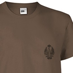 CAMISETA ALGODON EJERCITO DE TIERRA COYOTE