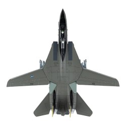 CAZA F14A TOMCAT USA