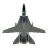 CAZA F14A TOMCAT USA