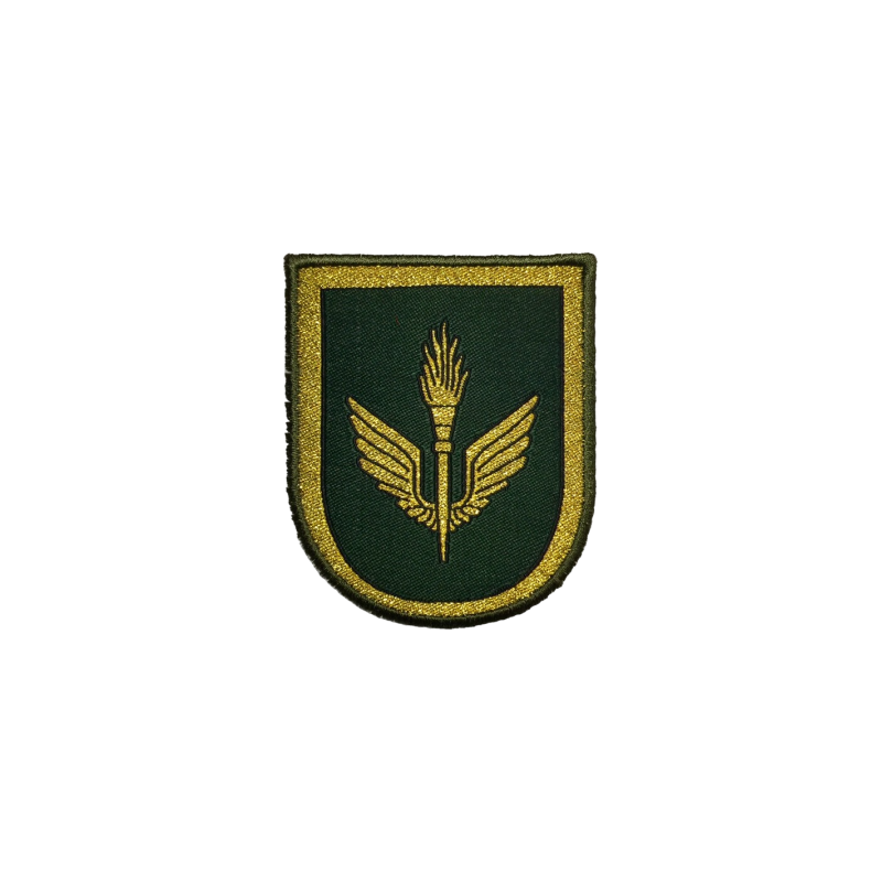 PARCHE REPRESENTACION BRILOG AVILA