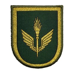 PARCHE BRAZO BRILOG AVILA