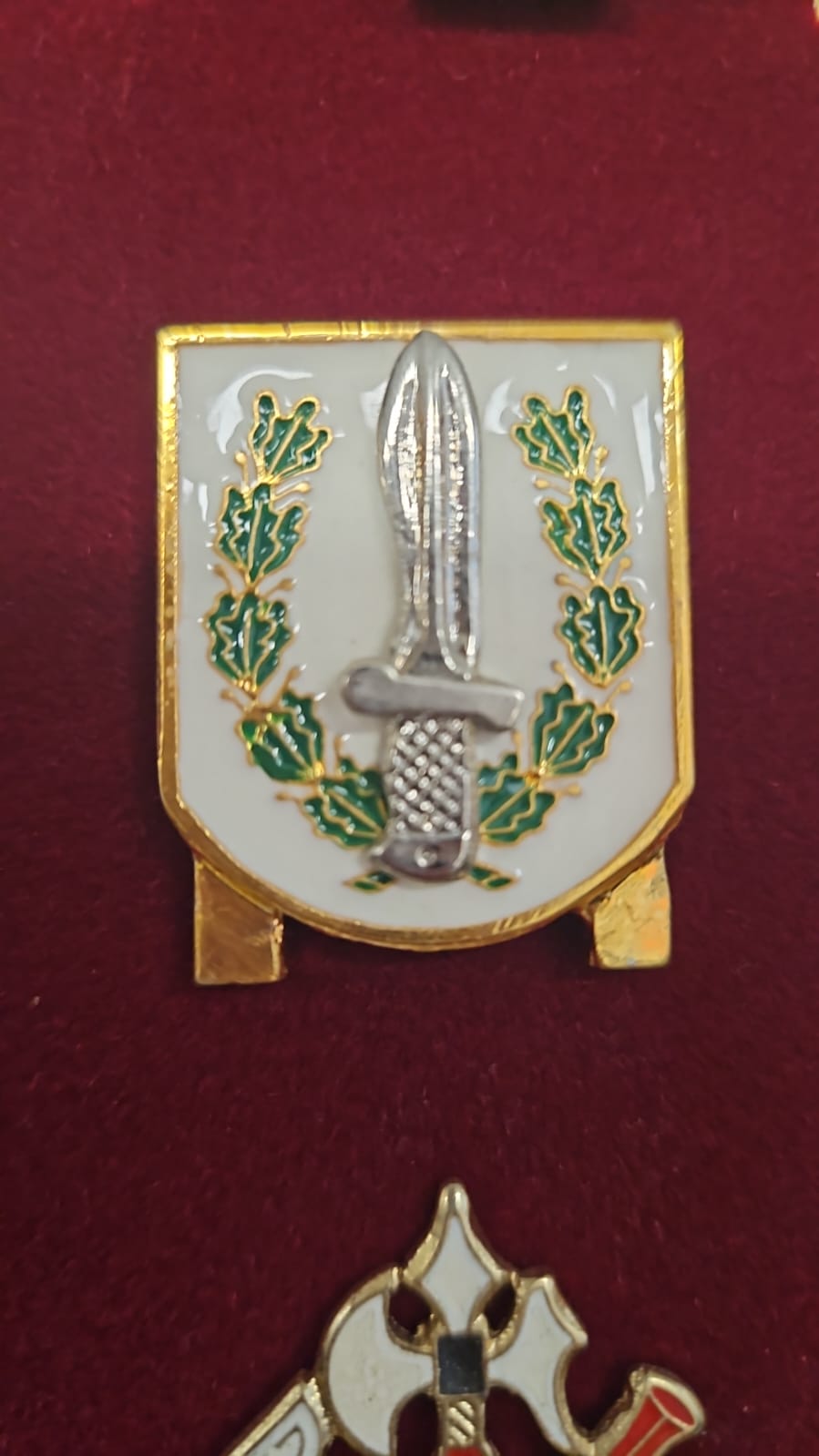 Requisitos para entrar en las C.O.E.